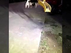 कारखाने के अनुकूलित ब्रांड नई मिनी खुदाई हाइड्रोलिक ग्रिप बकेट बिक्री के लिए